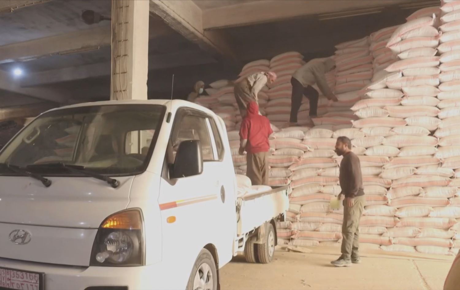 Rêveberiya Xweser tovê genim belav dike / Wêne: Ji ber dîmenan