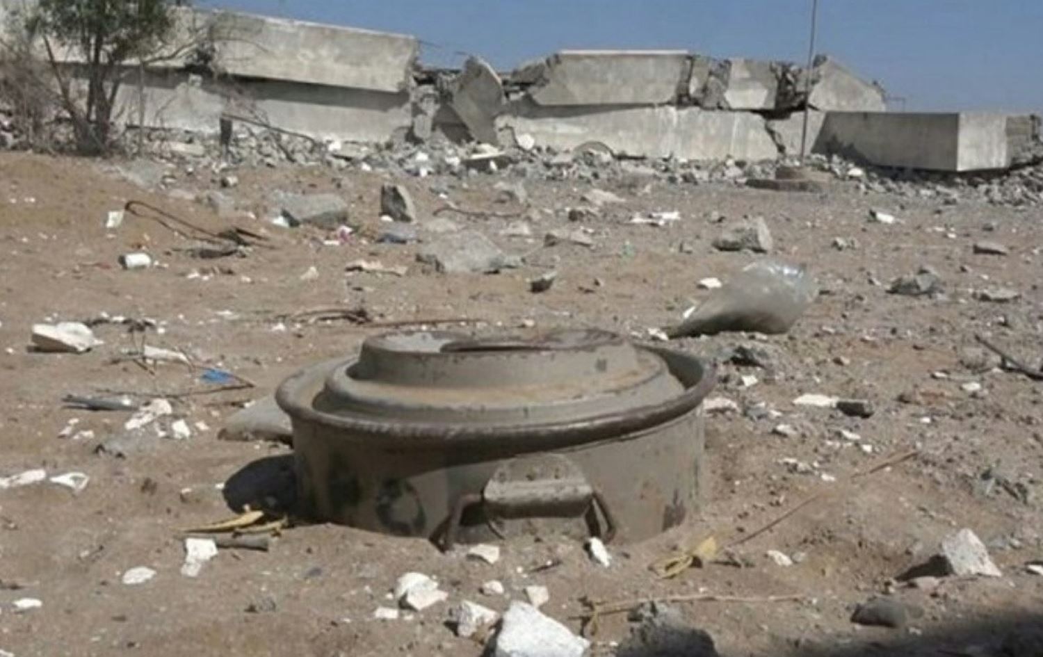 Mayîn / Wêne: Arşîv