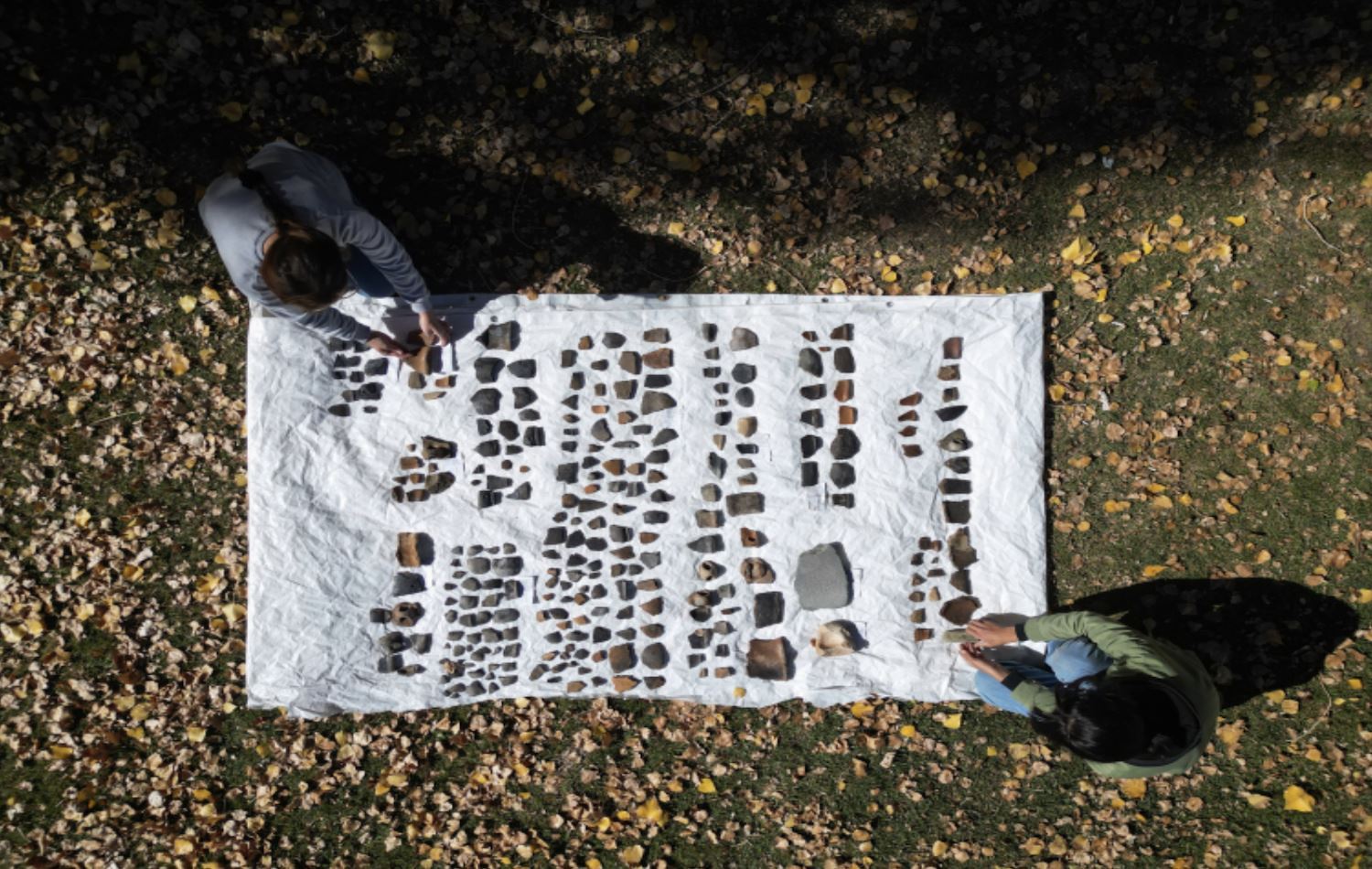 Berhemên ku hatine dîtin / Wêne: AA