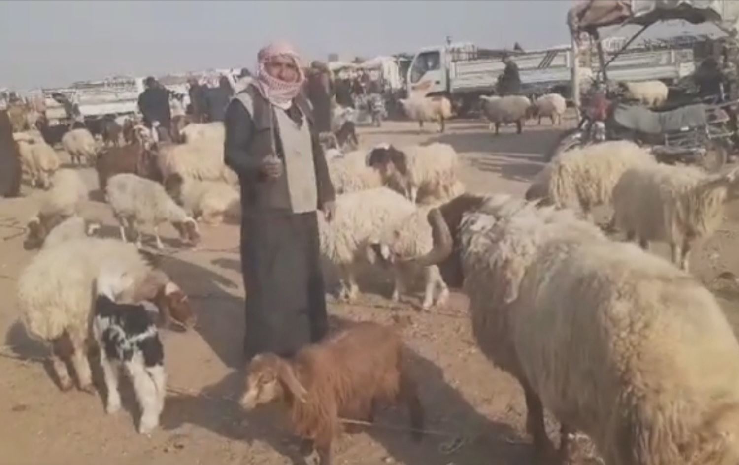 Bazareke ajelan /Wêne: Ji vîdeoyê