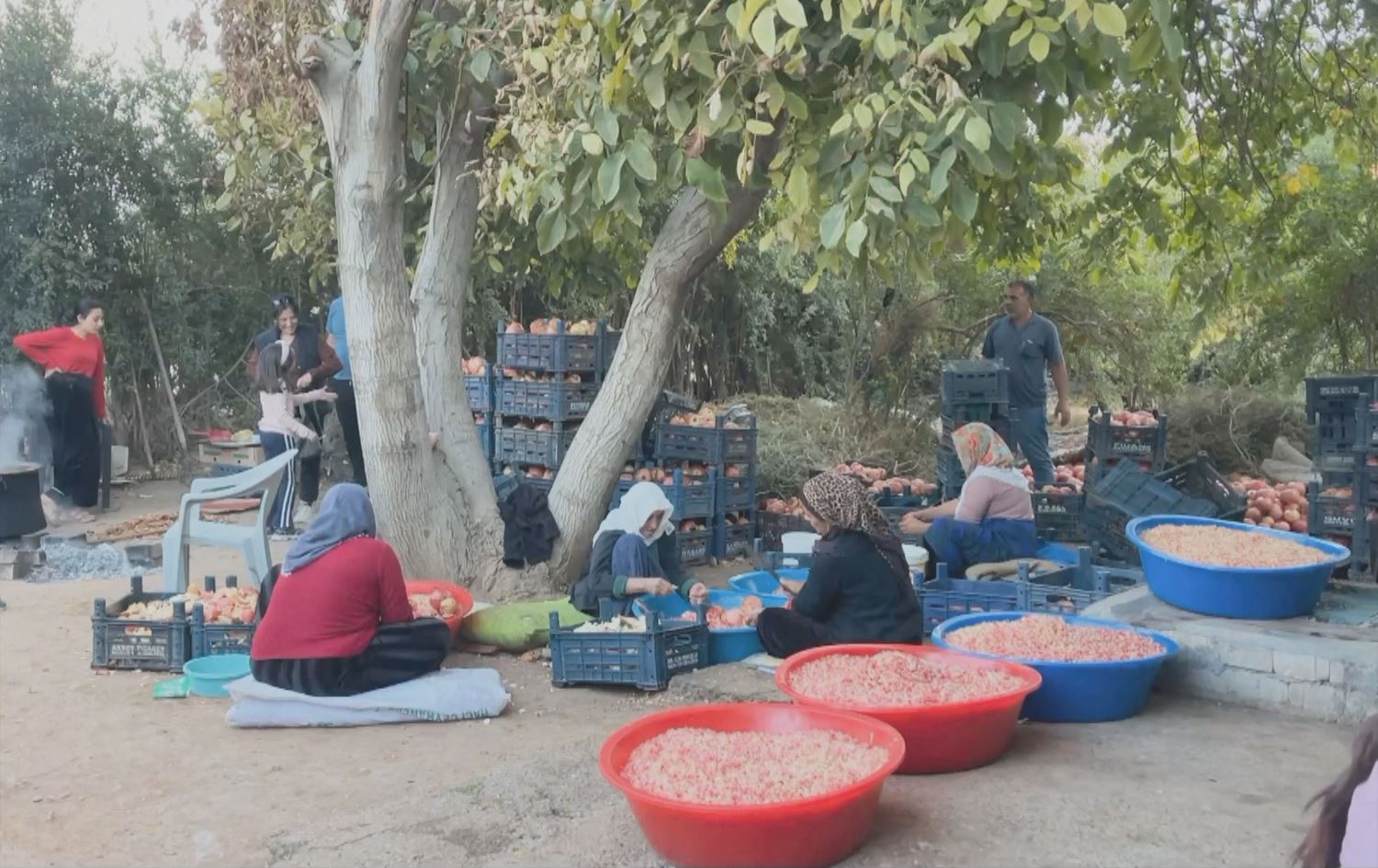 Bi dehan jin li hev kom dibin û bi tonan hinaran dadiweşînin / Wêne: Ji ber dîmenan