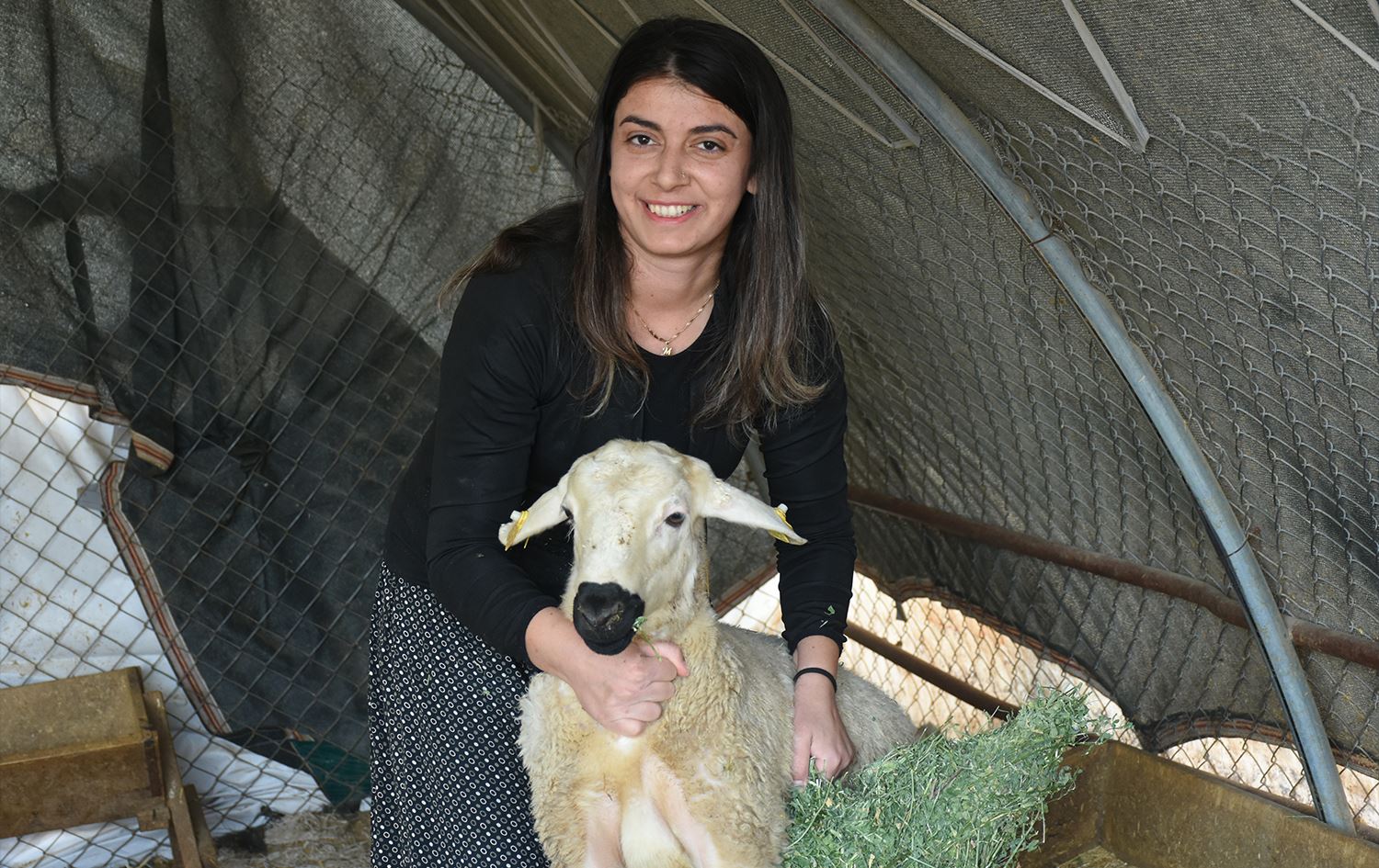 Cangul Şenoglu / Wêne: AA