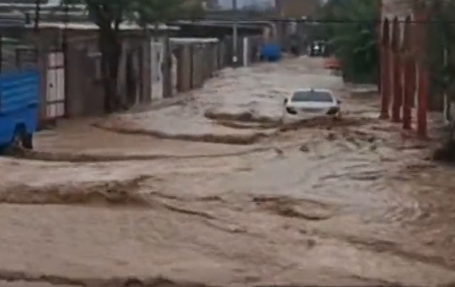 Li Abdananê lehî rabû / Wêne: Ji ber dîmenan