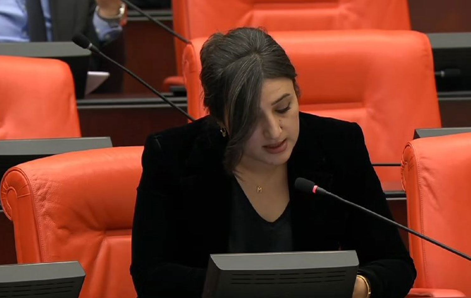 DEM Parti Siirt Milletvekili Sabahat Erdoğan Sarıtaş / Arşiv