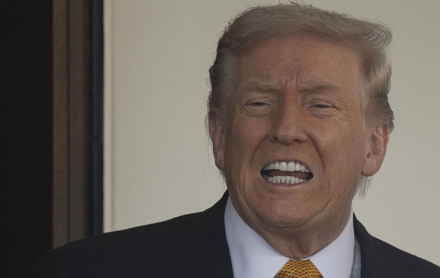 ABD Başkanı Donald Trump / Foto: AA