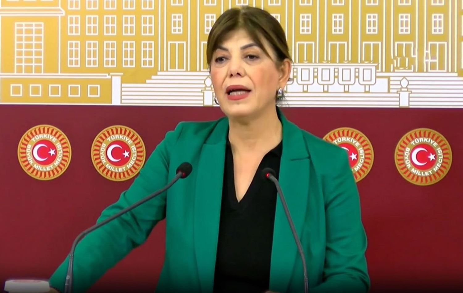 Meral Danış Beştaş Meclis'te toplantı düzenledi. 