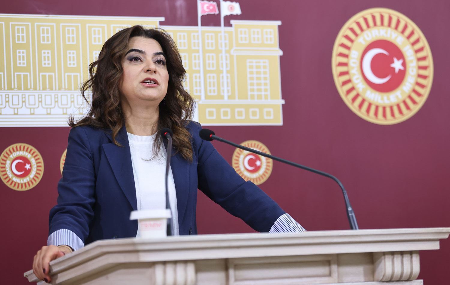 Gulistan Kiliç Koçyîgît\ Wêne: Arşîv