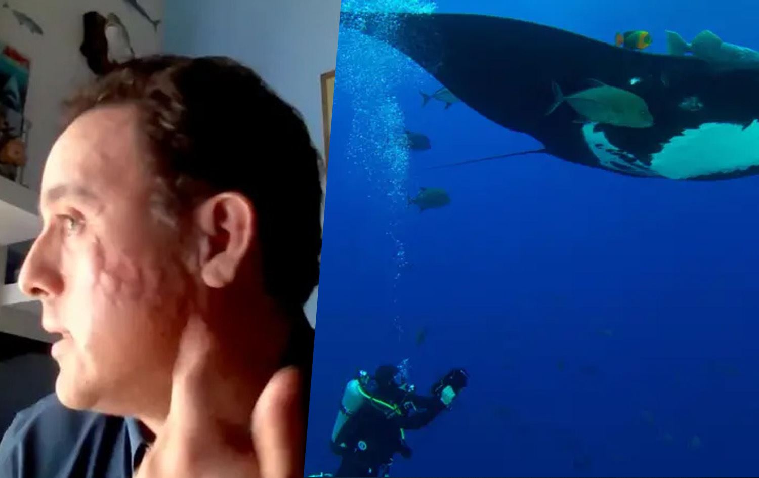 Mauricio Hoyos û semasiyek\ Wêne: BBC