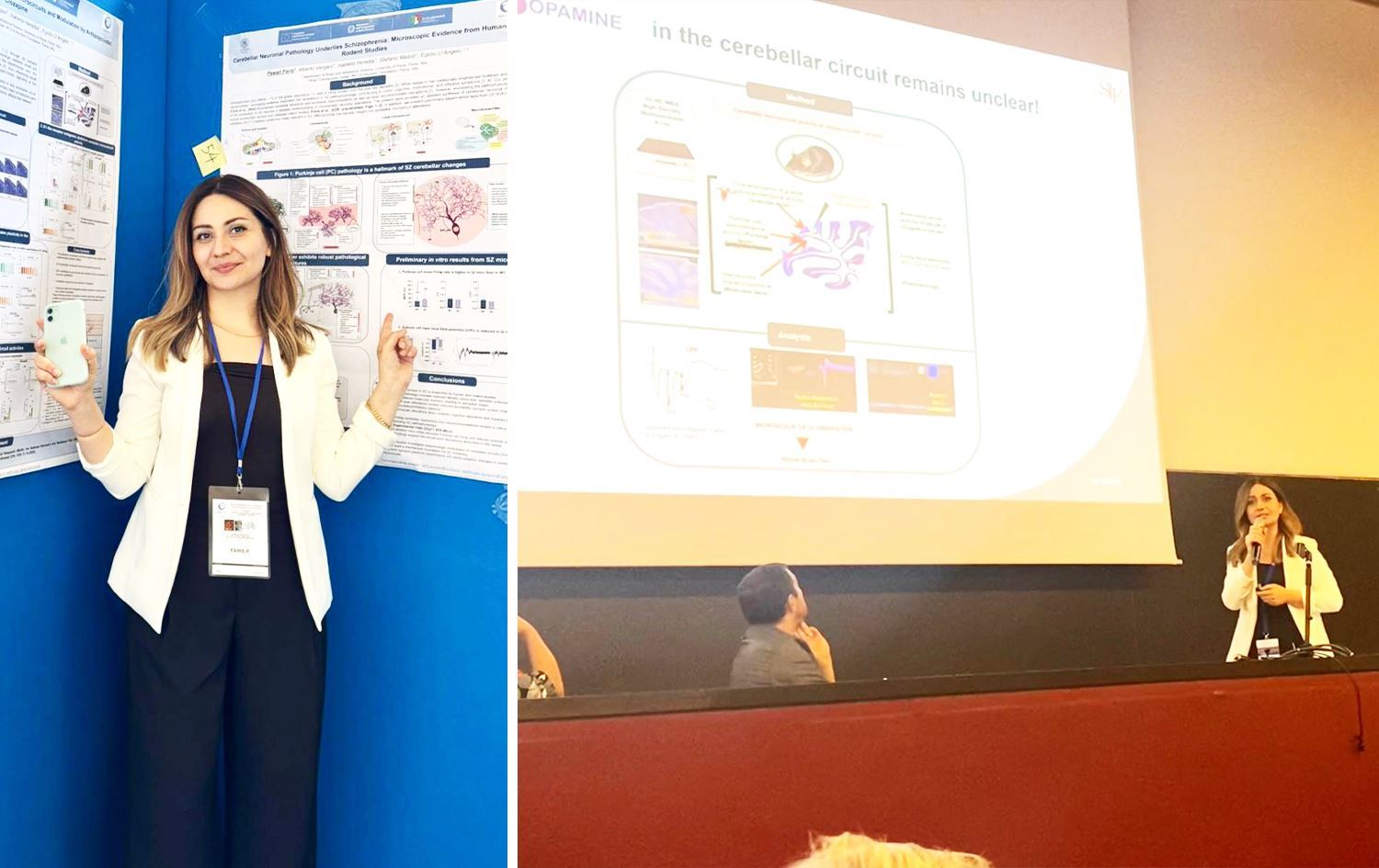 İtalya'daki Pavia Üniversitesi'nde fizyoloji uzmanı, öğretim görevlisi ve araştırmacı olan Dr. Pavan Faris Dizayi