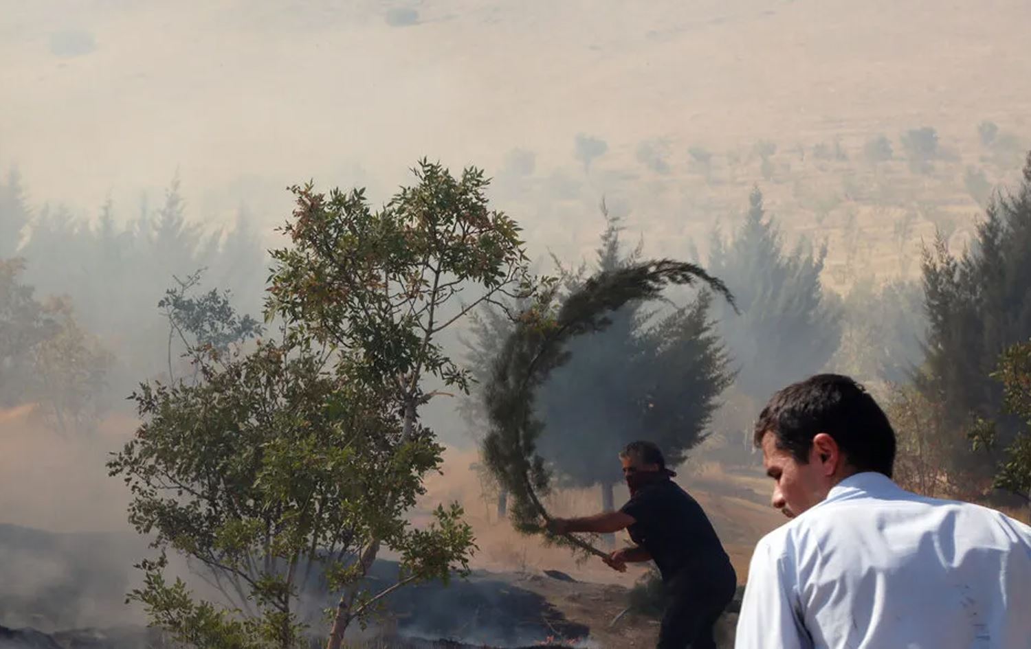 Agirekî daristanê yê li Sineyê / Wêne: IRNA