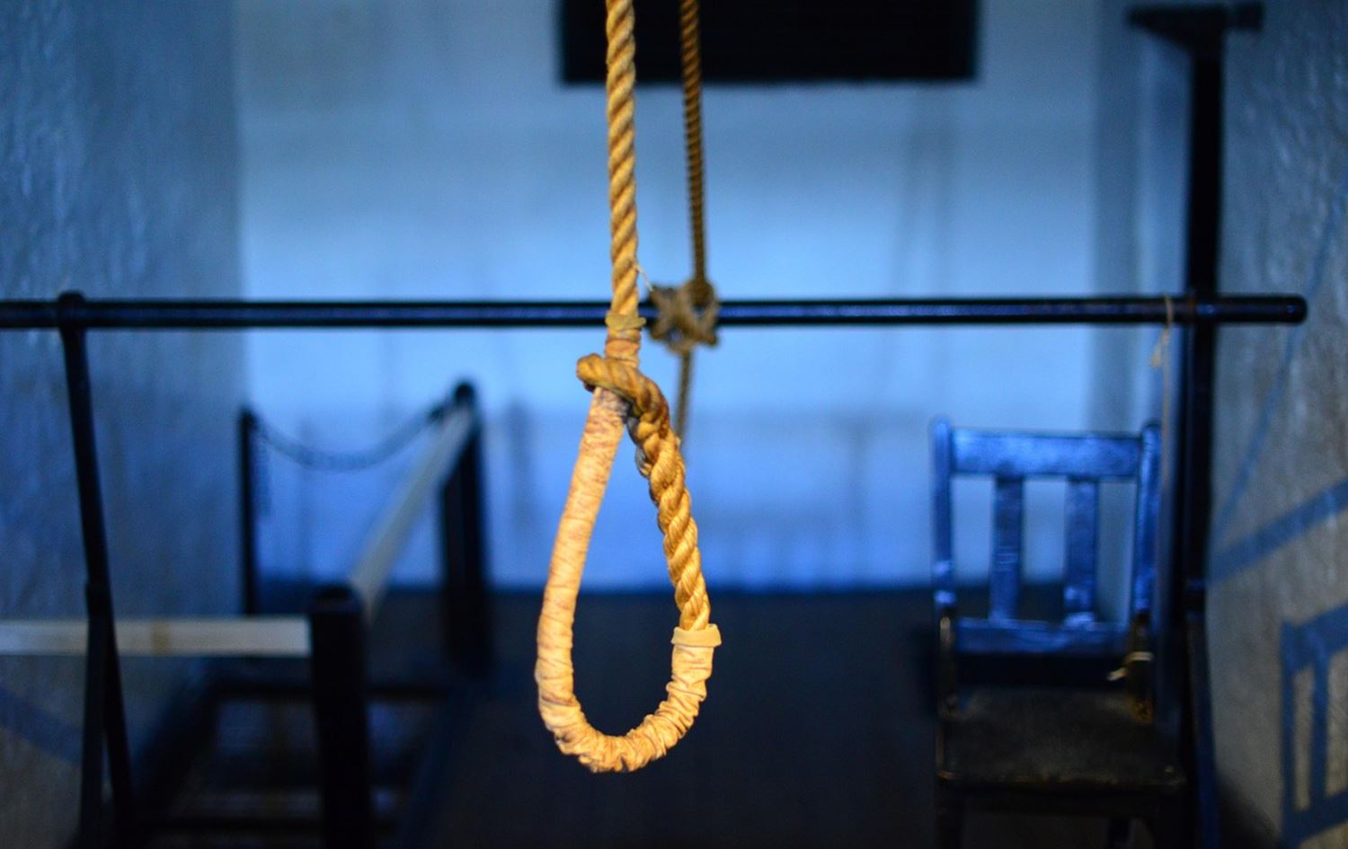 Wêneyekî temsîlî / Arşîv