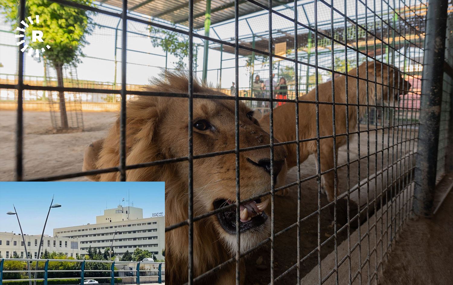 Foto: Bilind T. Abdullah / Rûdaw