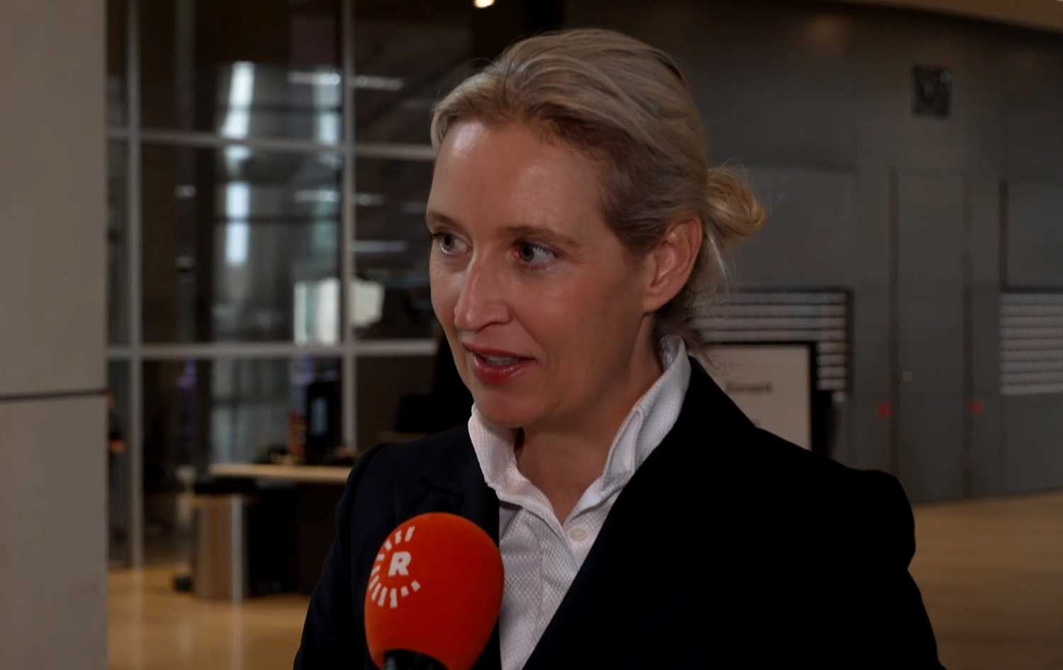 ئاڵیس ڤایدڵ، سەرۆکی فراکسیۆنی پارتی جێگرەوەی ئەڵمانیا 