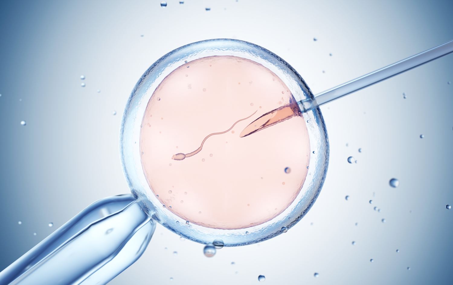بەکارھێنانی منداڵی بلووری و پشکنینی فرەبۆماوەیی کۆرپەلە لە ئەمریکا زیاد بووە