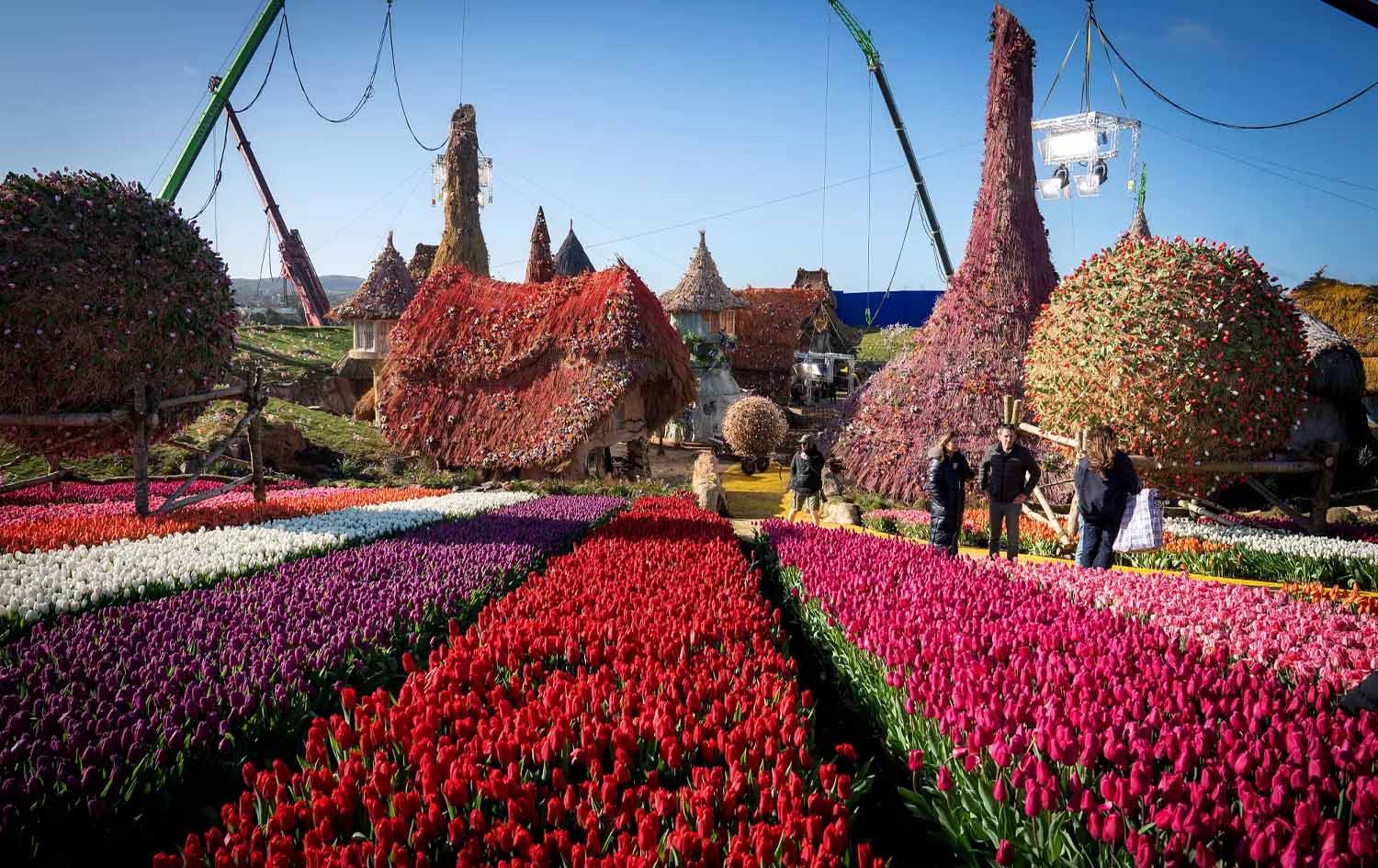 نۆ ملیۆن گوڵی لالە لە بەشی دووەمی (Wicked) بەکارهاتوون