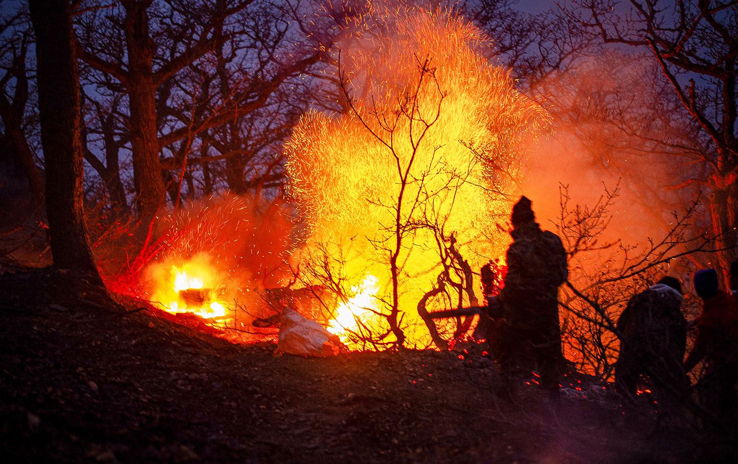 حرائق في غابات إيرانية