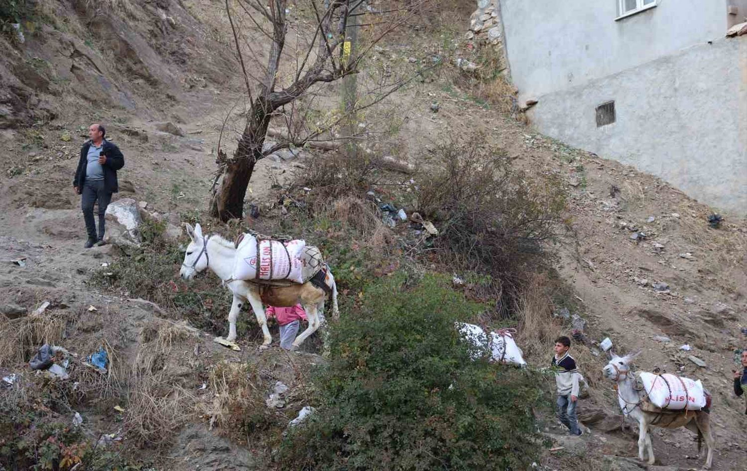 Gundê Xarokê / Wêne: ÎHA