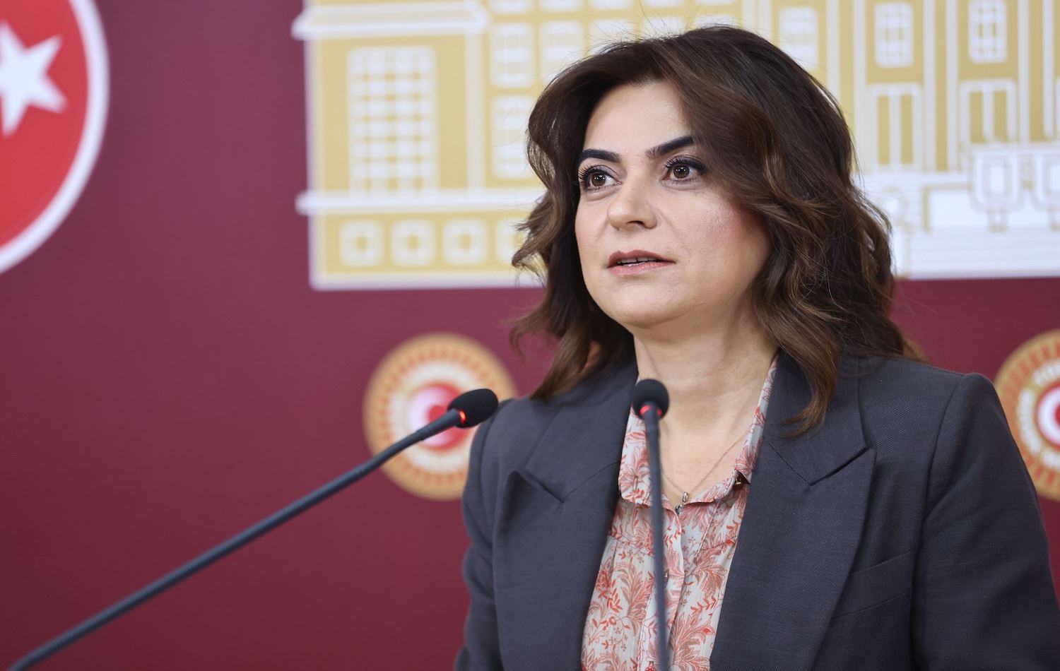 Fotoğraf: DEM Parti