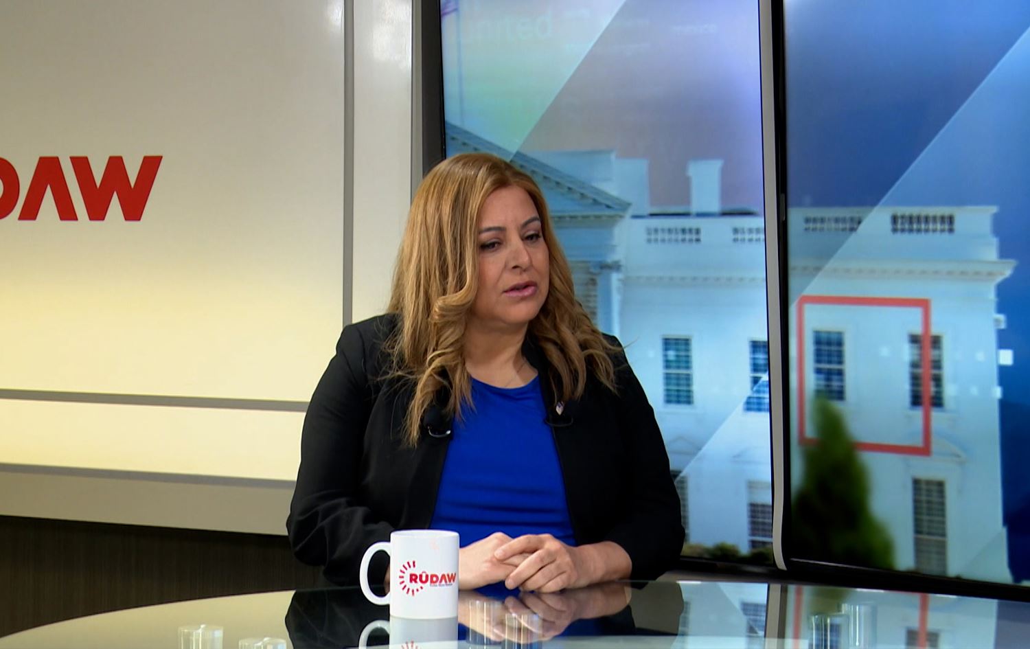 Trifa Aziz, the Kurdistan Regional Government’s Representative to the United States, pictured during an interview with Rudaw in Washington DC. Photo: Screengrab/Rudaw 