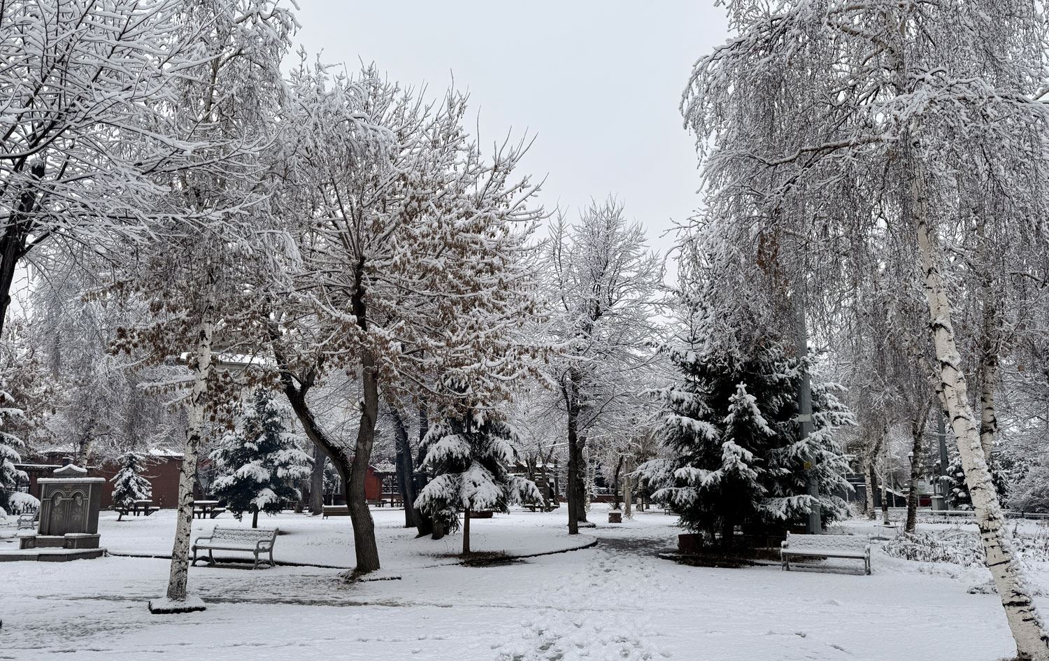 Li navenda Erdexanê berf bariya / Wêne: AA
