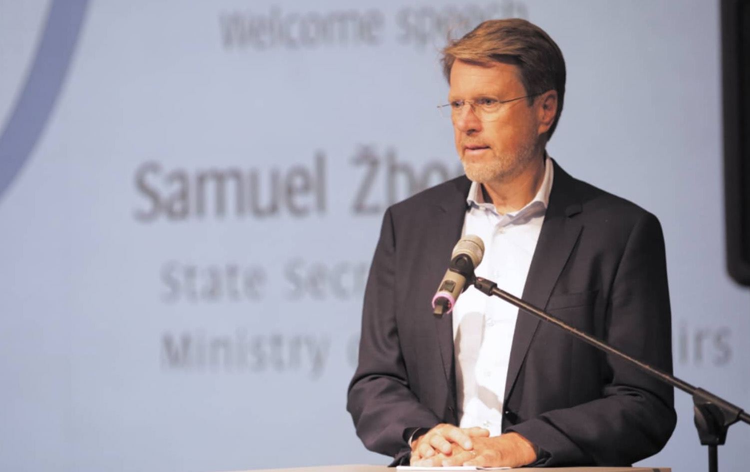 Birleşmiş Milletler Güvenlik Konseyi (BMGK) dönemsel Başkanı Samuel Zbogar.