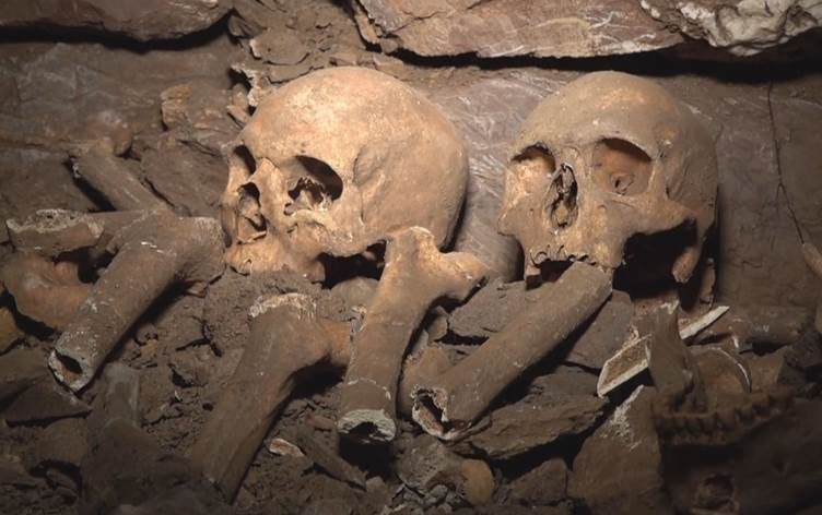 Hestiyên ku di gorê de mhatine dîtin /Wêne: Rûdaw