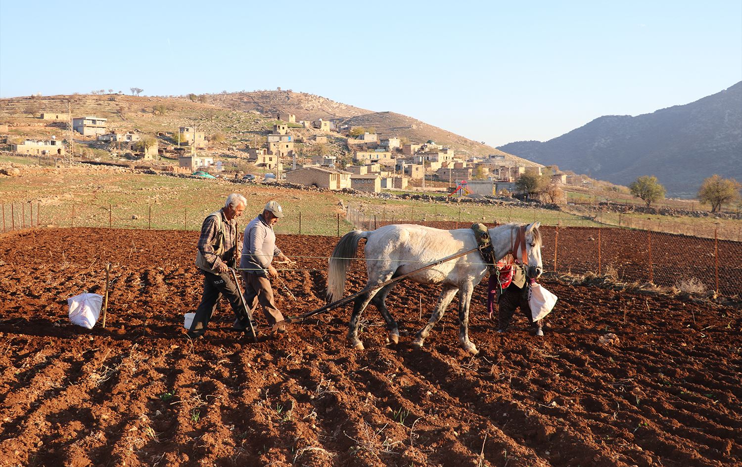 Bi bi hespan cot dikin / Wêne: AA