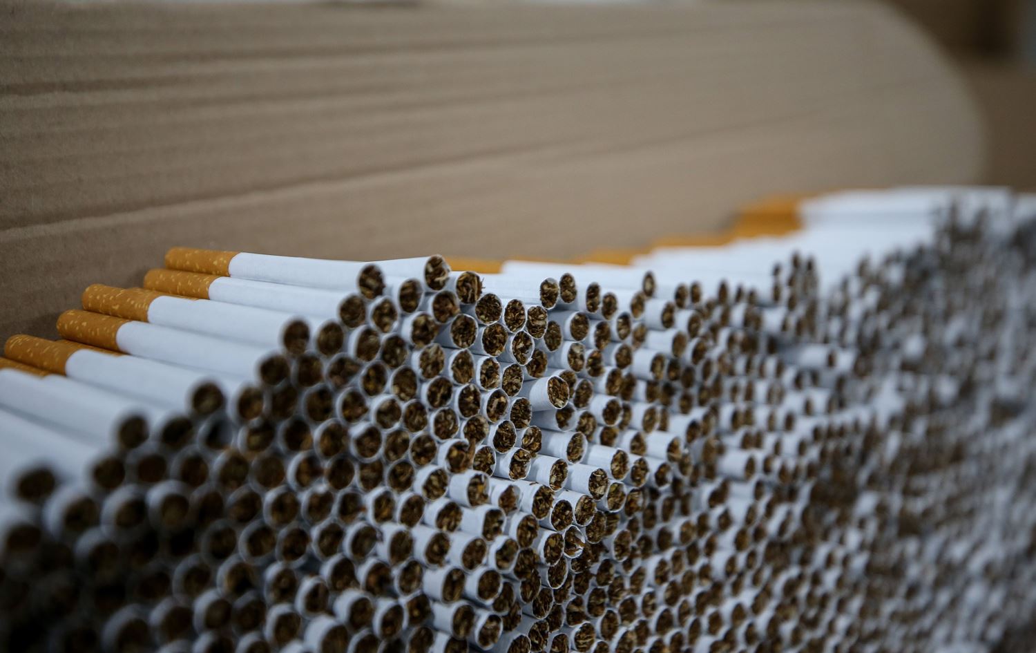 کۆمەڵەی مانگی سەوز لە تورکیا: لەکۆی 3 منداڵ دووانیان جگەرە دەکێشن