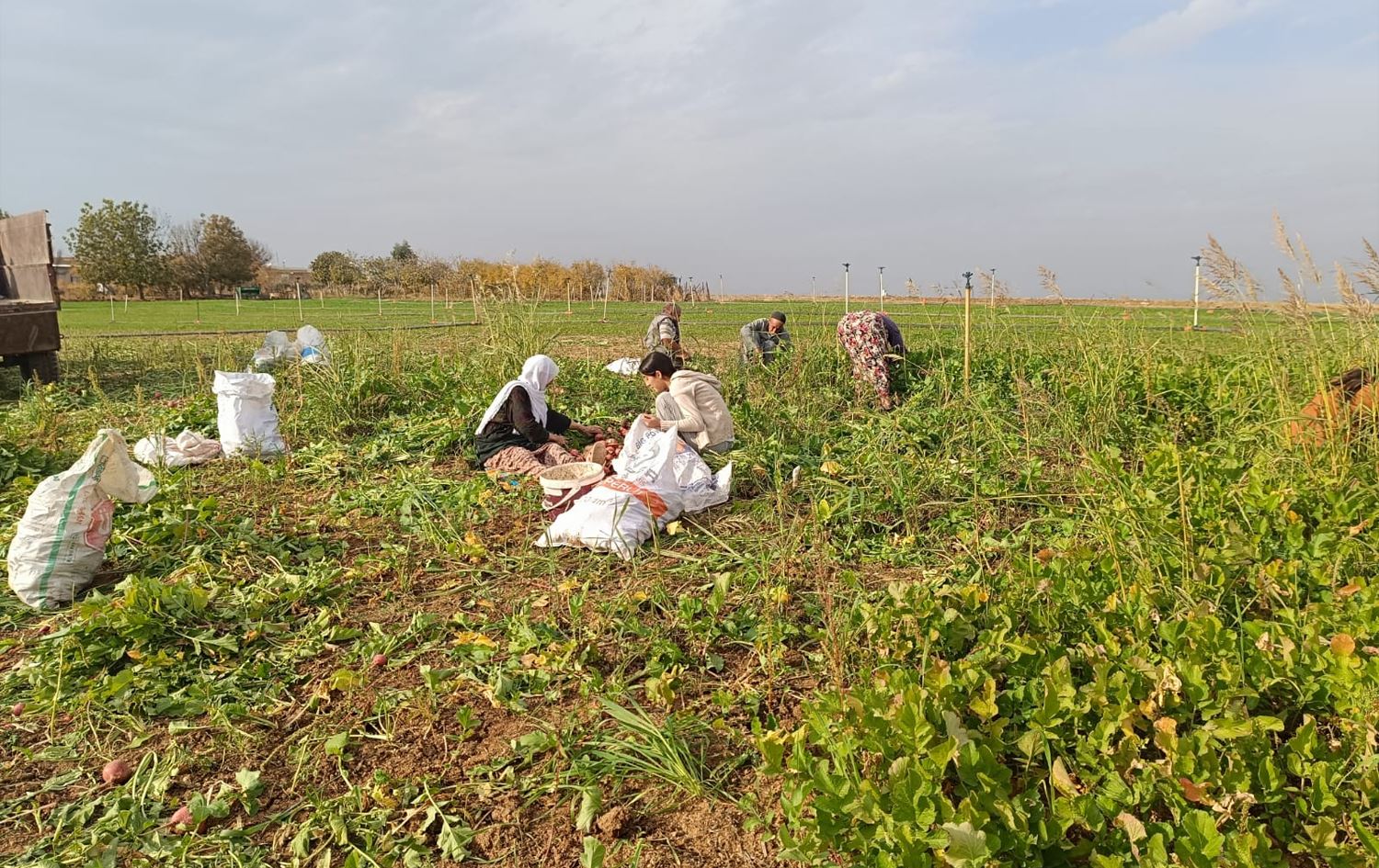 Cotkar tiviran diçinin / Wêne: Rûdaw
