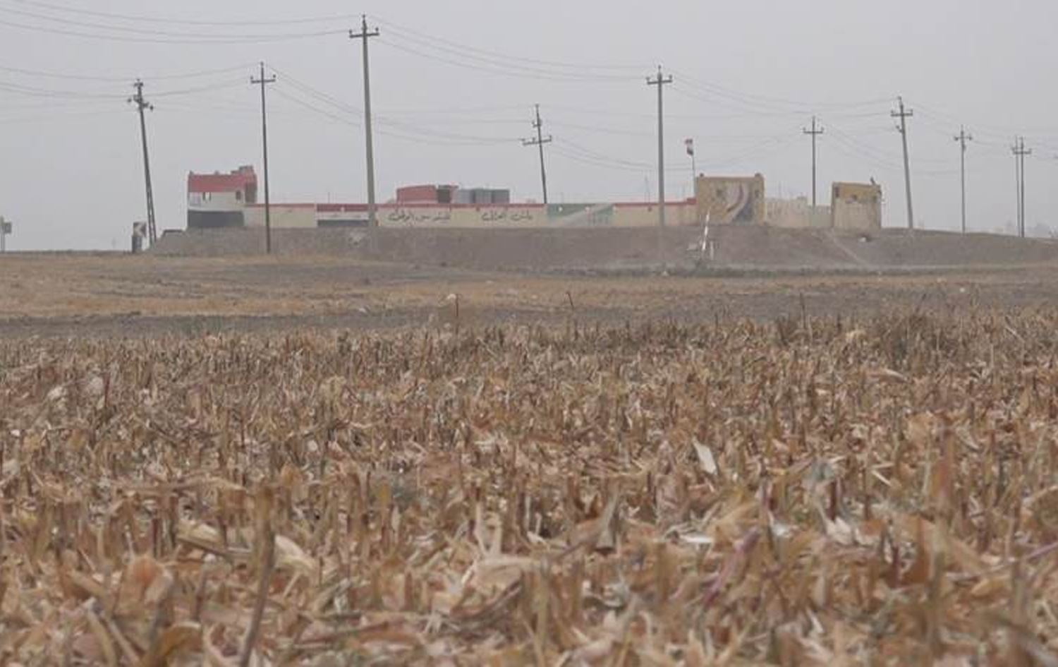 Zeviyê garis ê cotkaran\ Wêne û Vîdeo: Rûdaw