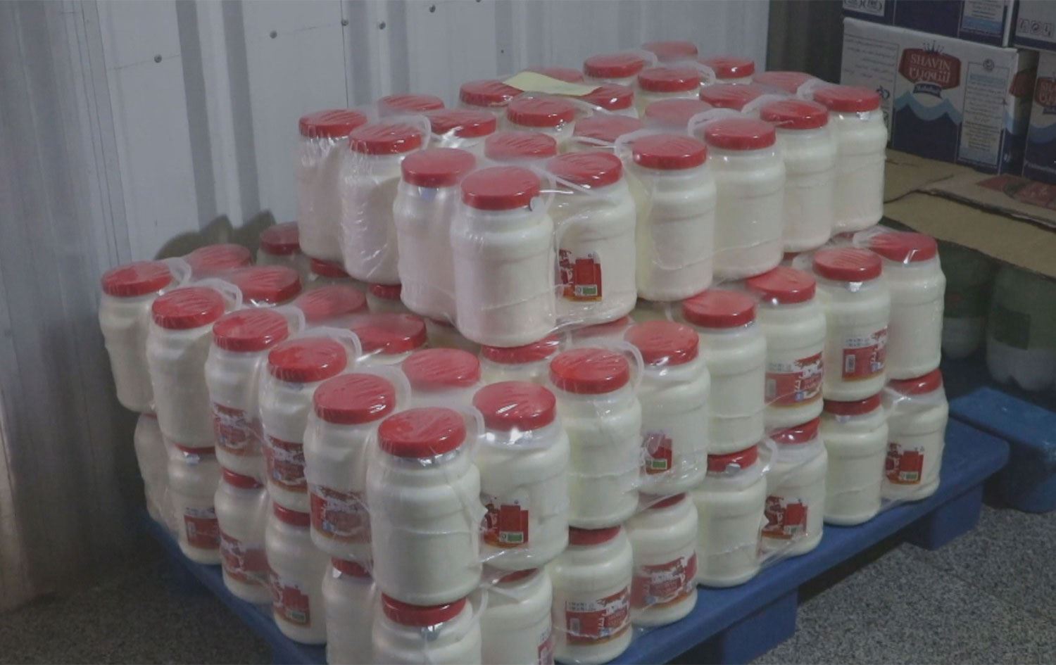 هۆکاری سەرەکیی گرانبوونی شیر، هاوردەکردنیەتی بۆ دەرەوە.