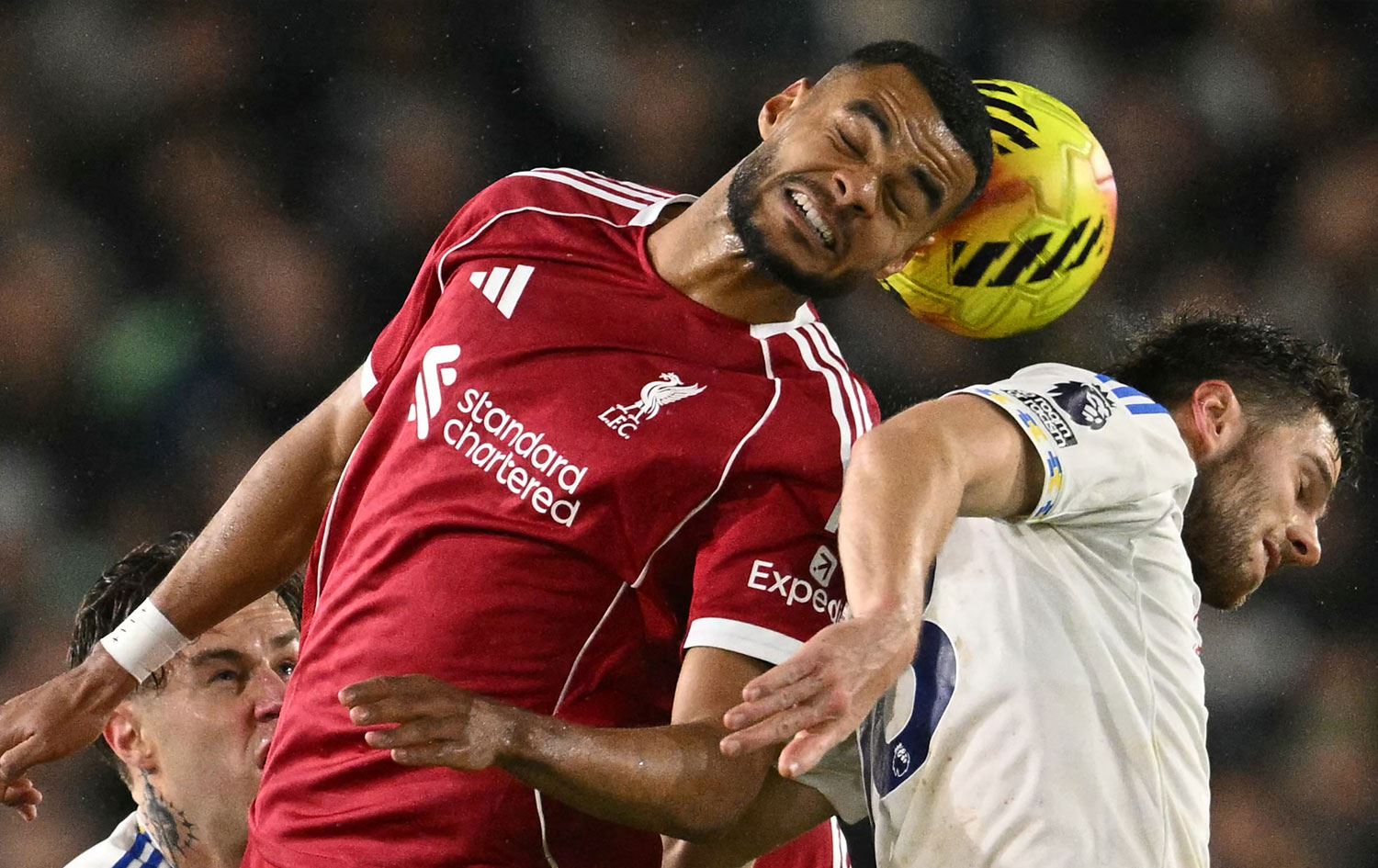 Cody Gakpo di maça Leeds Unitedê de serê xwe li gogê dixe / Wêne: OLI SCARFF-AFP