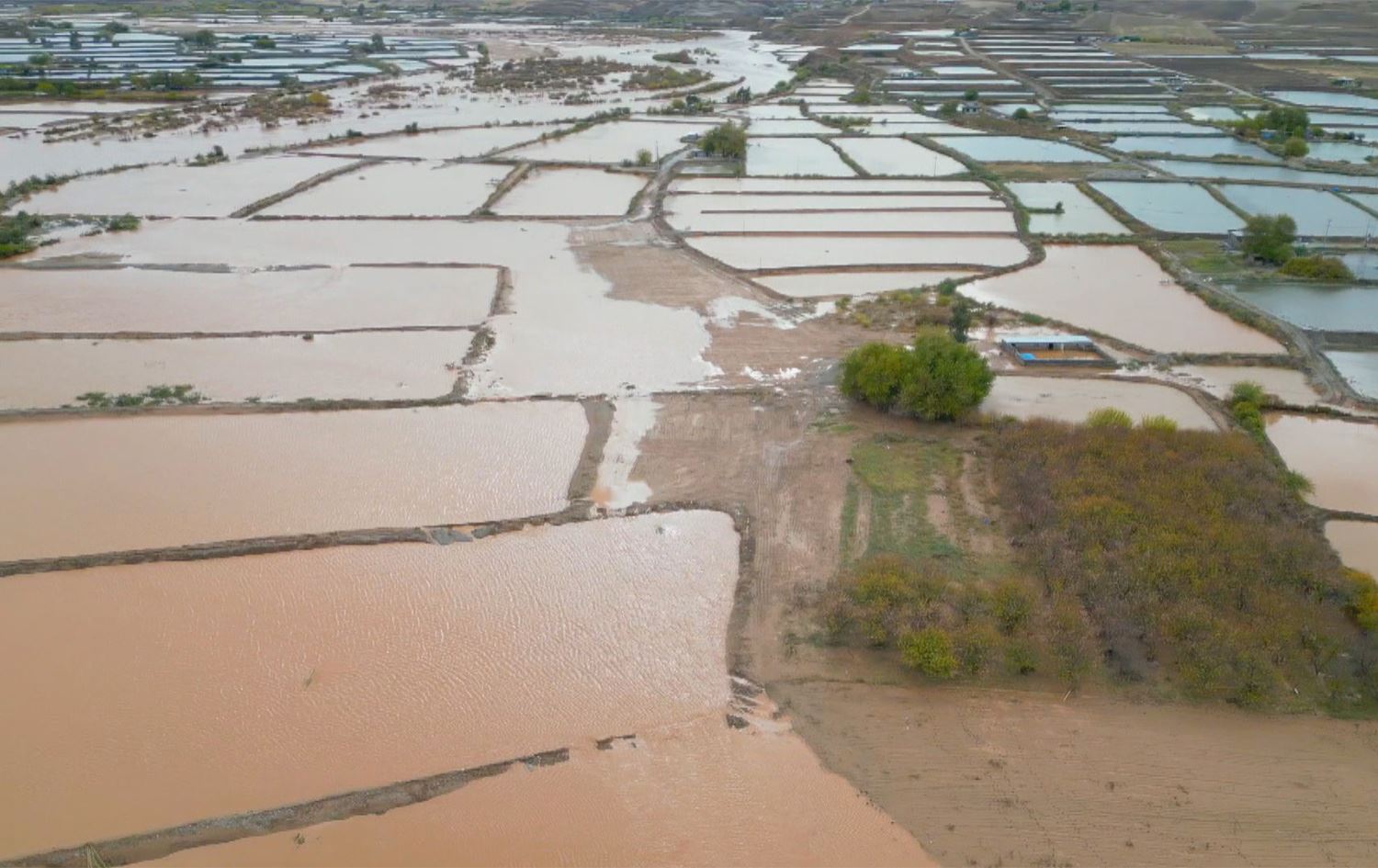 لە تەقتەق دەیان هەزار ماسی لەنێوچوون؛ زیانی لافاو بە 15 ملیار دینار دەخەمڵێندرێت