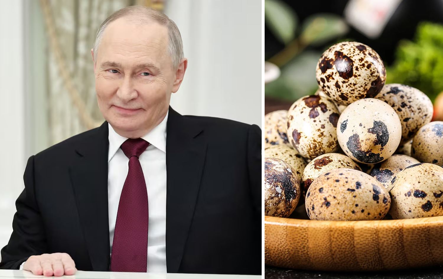 هێلکەی هەوێردە - پووتین.