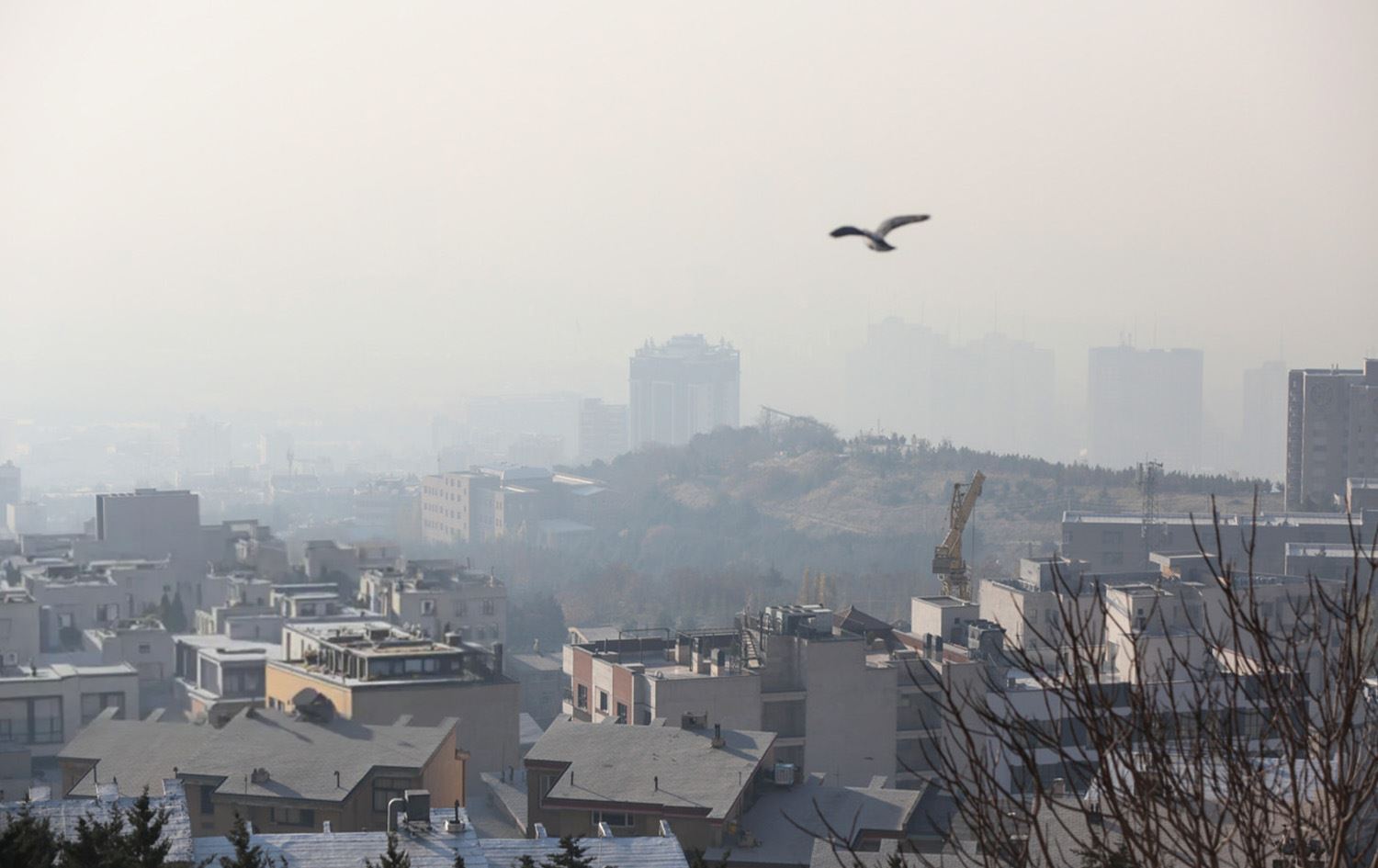 Rojhilatê Kurdistanê / Wêne: Arşîv