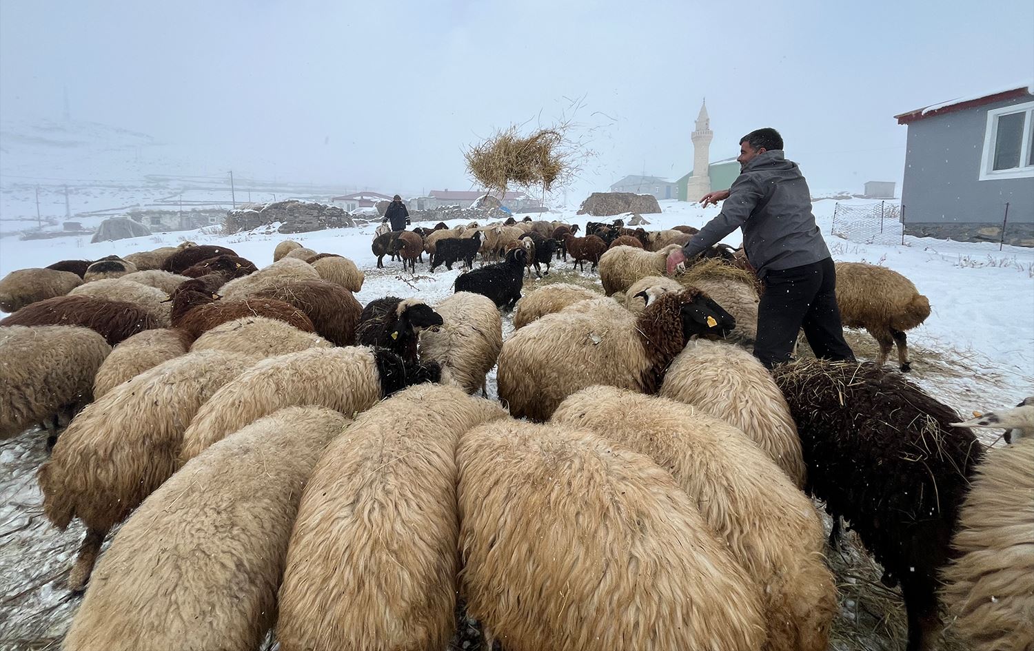 Pêla berf û baranê ya li Bakurê Kurdistanê didome / Wêne: AA