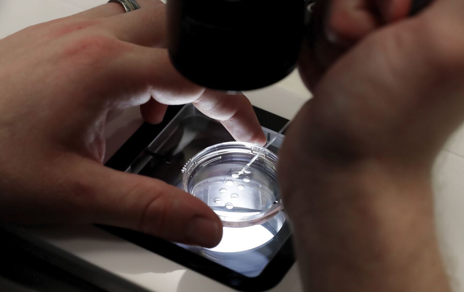 کردەی پێکهێنانی منداڵی بلووری.