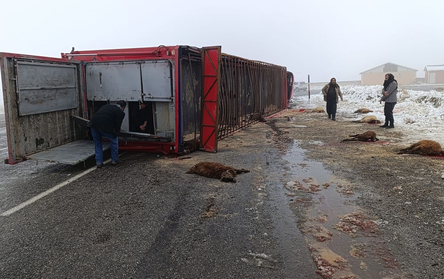 Cihê qezayê / Wêne: AA