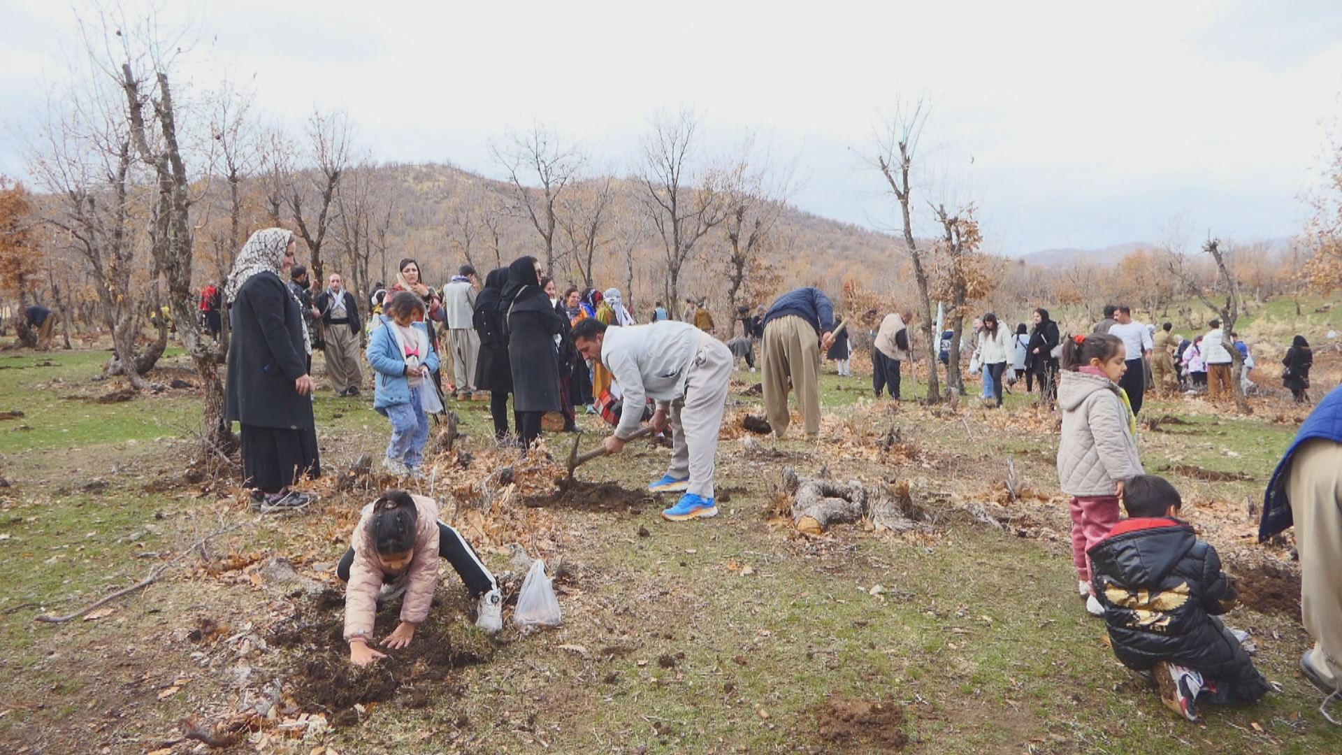 Dîmenekî çandina daran /Wêne: Wêne: Rûdaw