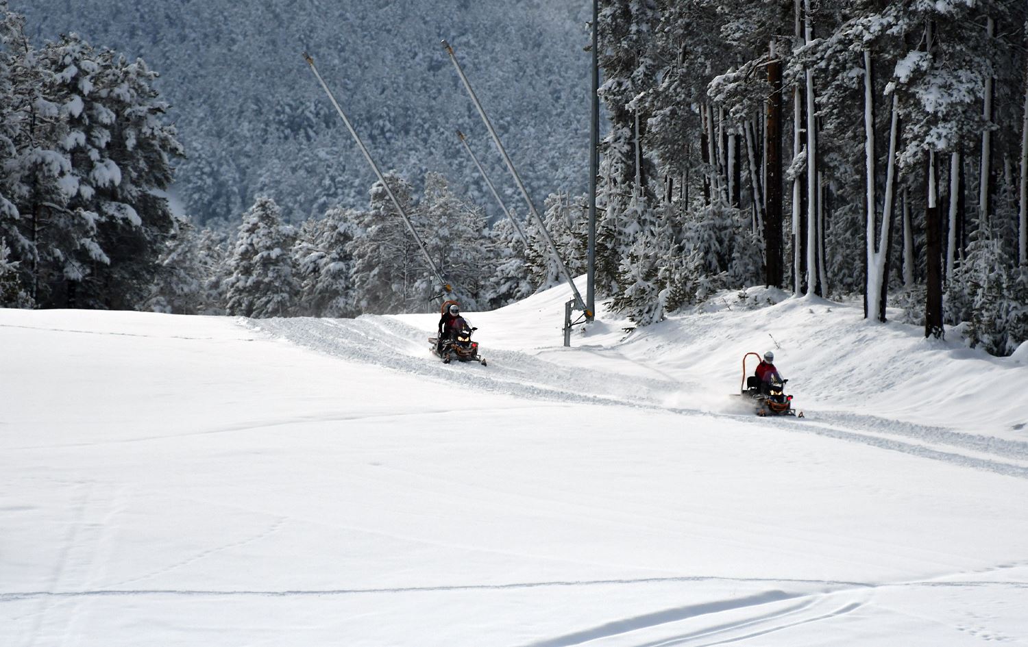 Navenda Kaşûnê ya Sarîqamîşê / Wêne: AA