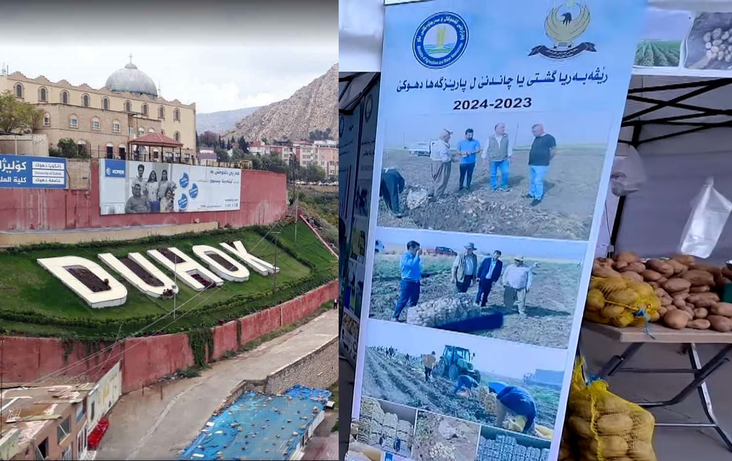 Duhok Patates Festivali