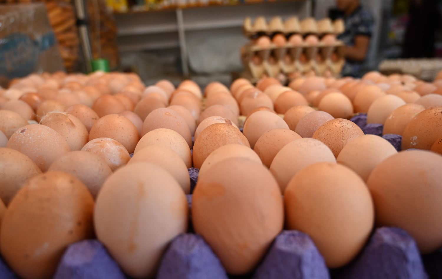 هەرێمی کوردستان رۆژانە 4.6 ملیۆن هێلکەی زیادەی هەیە؛ بەغدا دەرگا بۆ هاوردەکردنی دەکاتەوە
