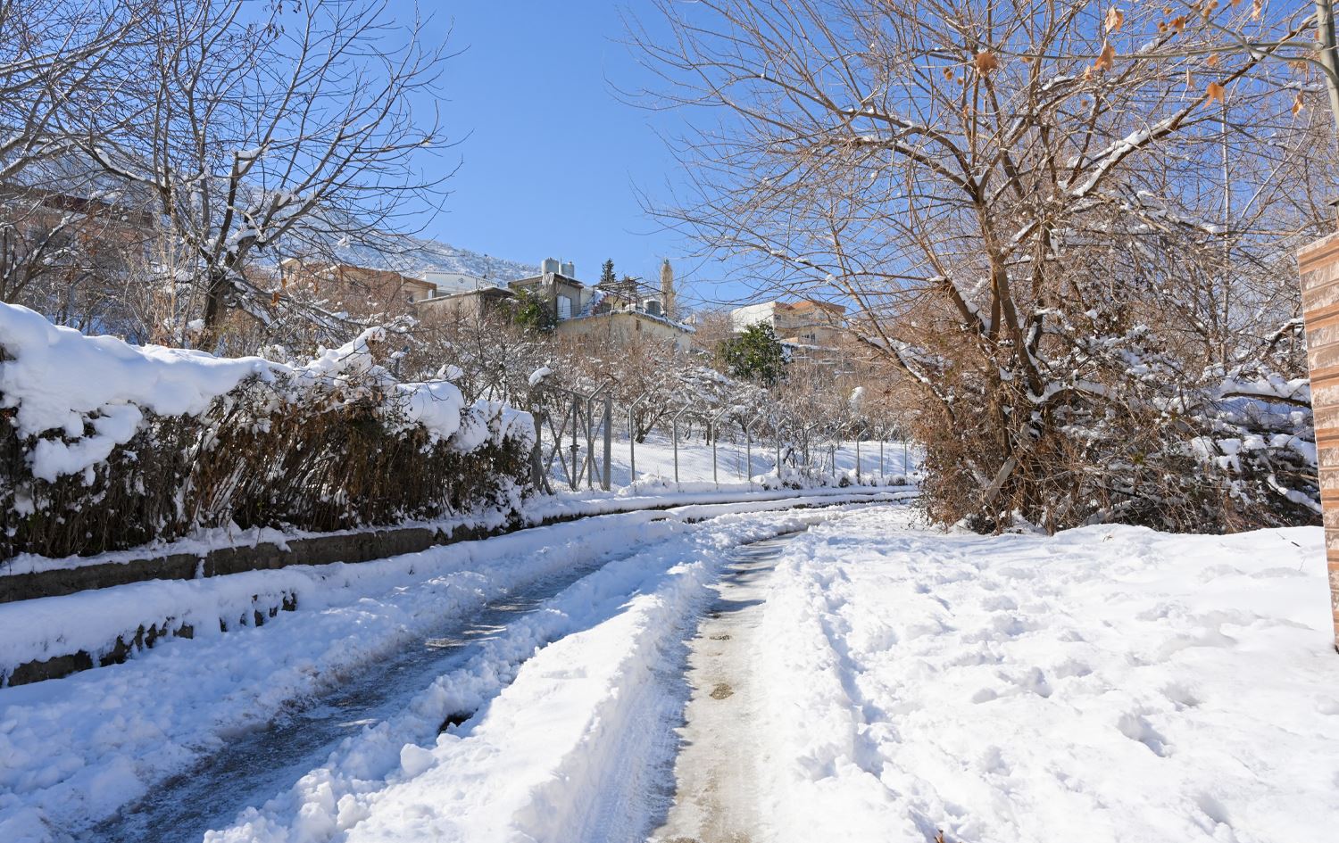 بەفربارین لە هەرێمی کوردستان. وێنە: بڵند تاهیر- ئەرشیفی رووداو