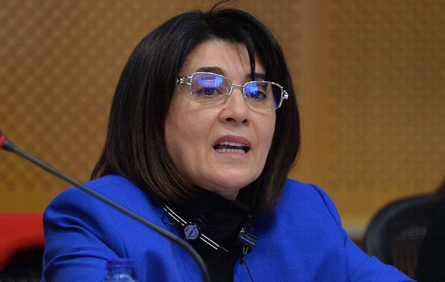 Leyla Zana / Arşiv / AA