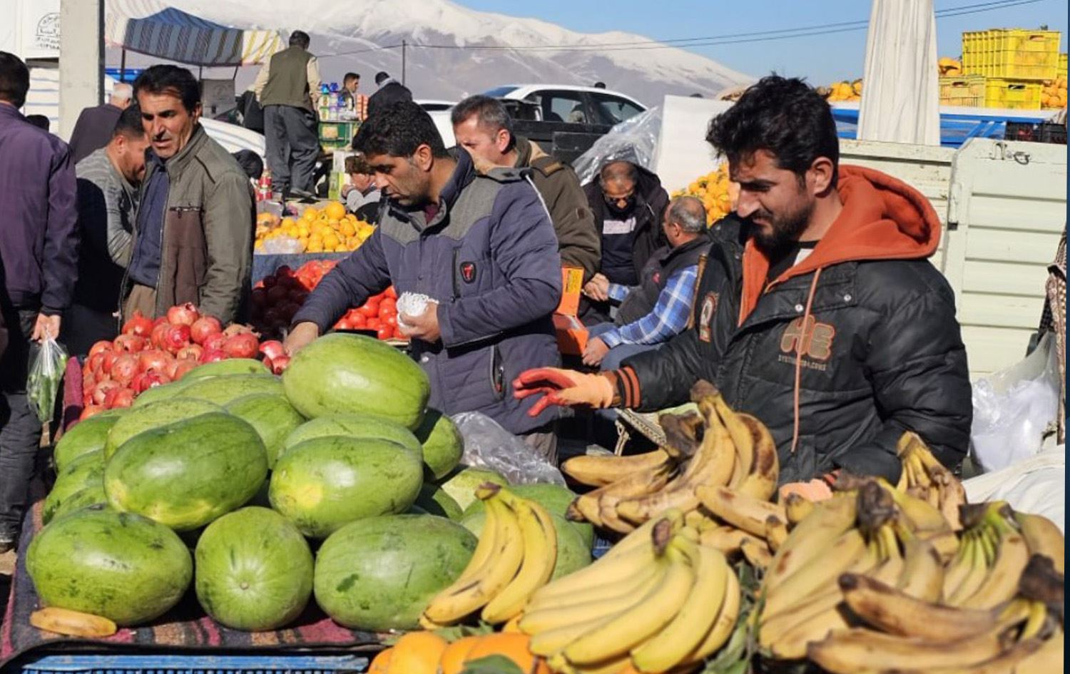 لە رۆژهەڵاتی کوردستان هاووڵاتییان روویان لە میوفرۆشەکان کردووە و ئامادەکاری بۆ شەوی یەڵدا دەکەن. وێنە: رووداو