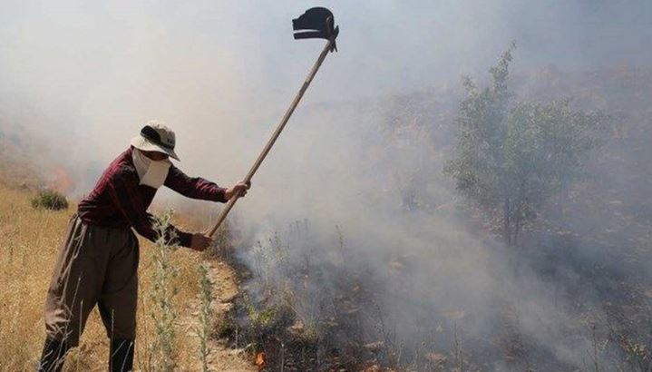 بەپێی یەکەی پاراستنی ژینگەی کرماشان، هۆکارە مرۆییەکان هۆکاری بەشی زۆری سووتانی دارستانەکانن.