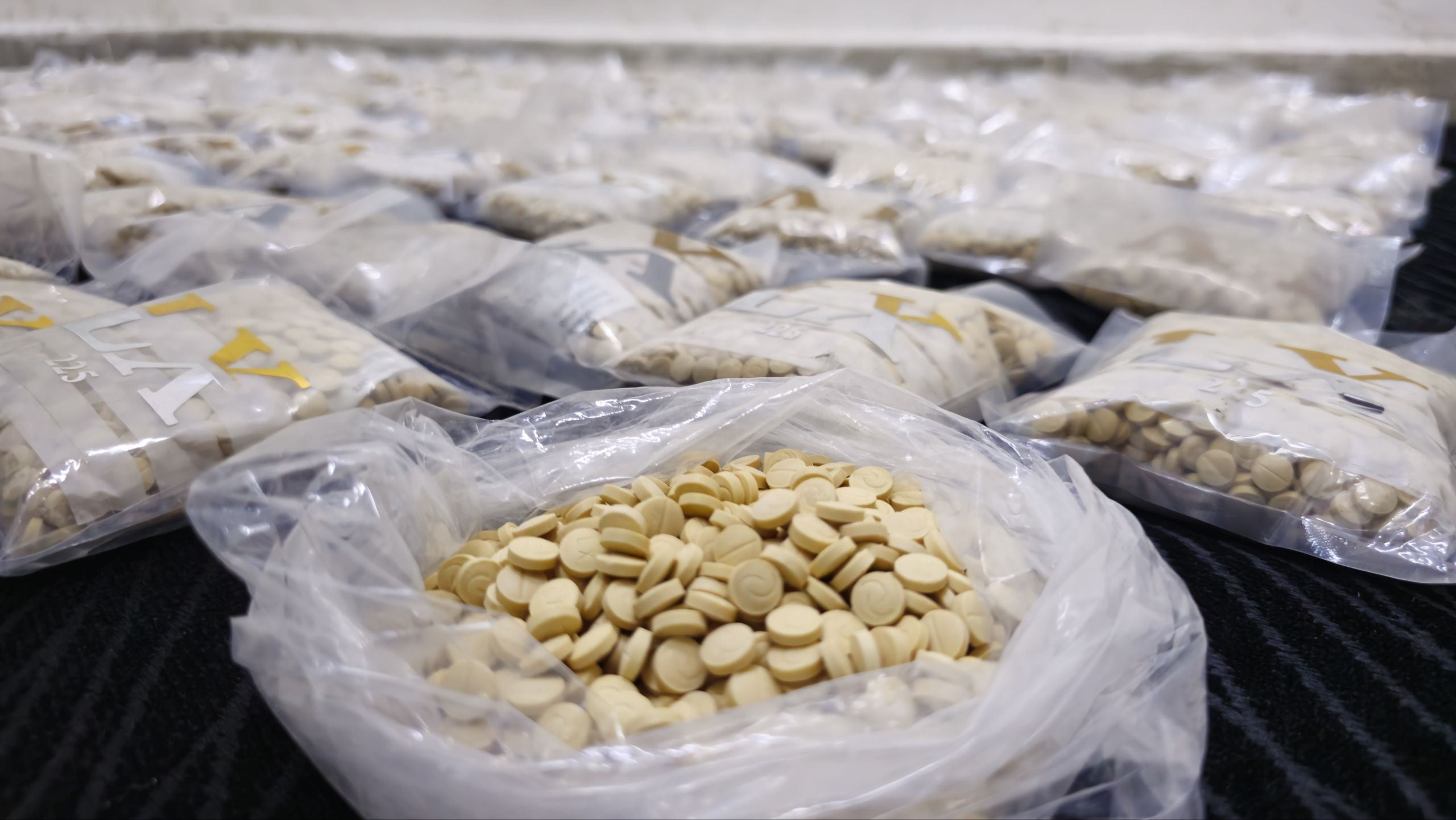 جانب من الكمية المضبوطة 