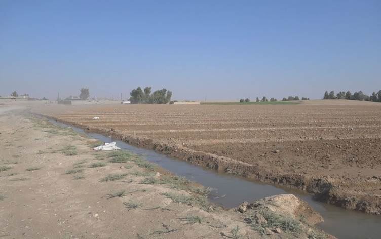 کشتوکاڵی سەلاحەدین داوای وردەکاریی گرێبەستەکانی خورماتوو دەکات