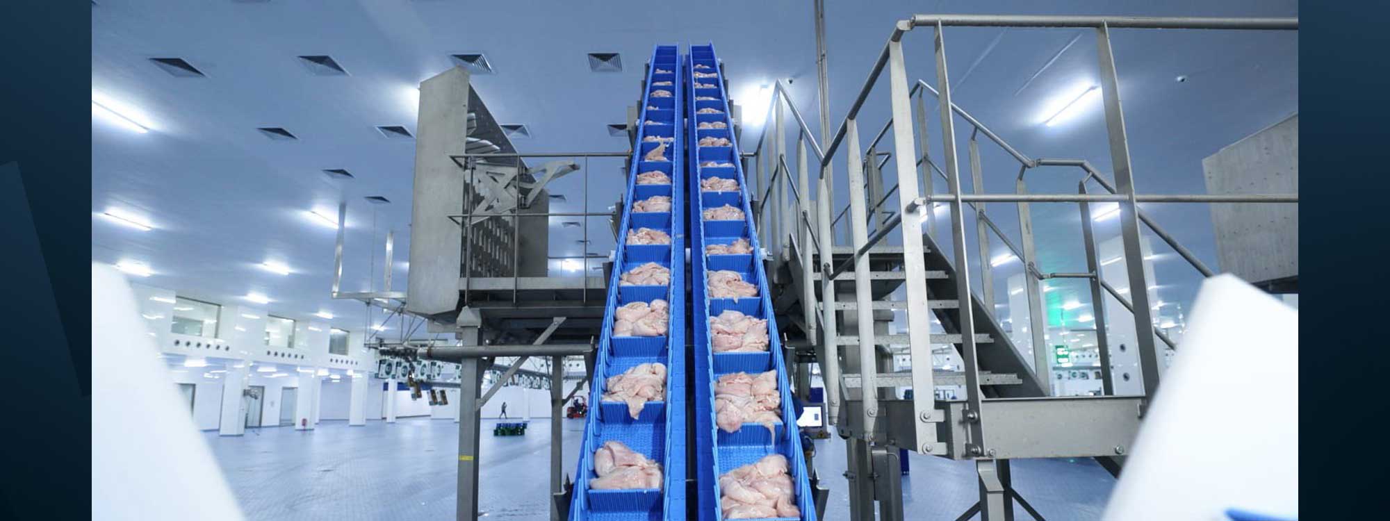 A poultry processing facility in Iraq. Photo: Iraqi ministry of agriculture.