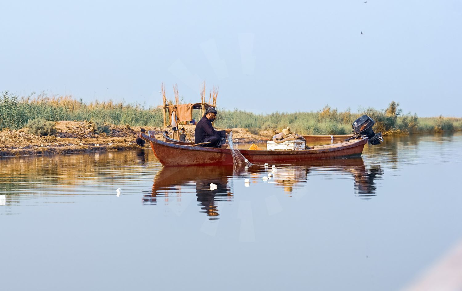الأهوار - تصوير بلند طاهر - رووداو